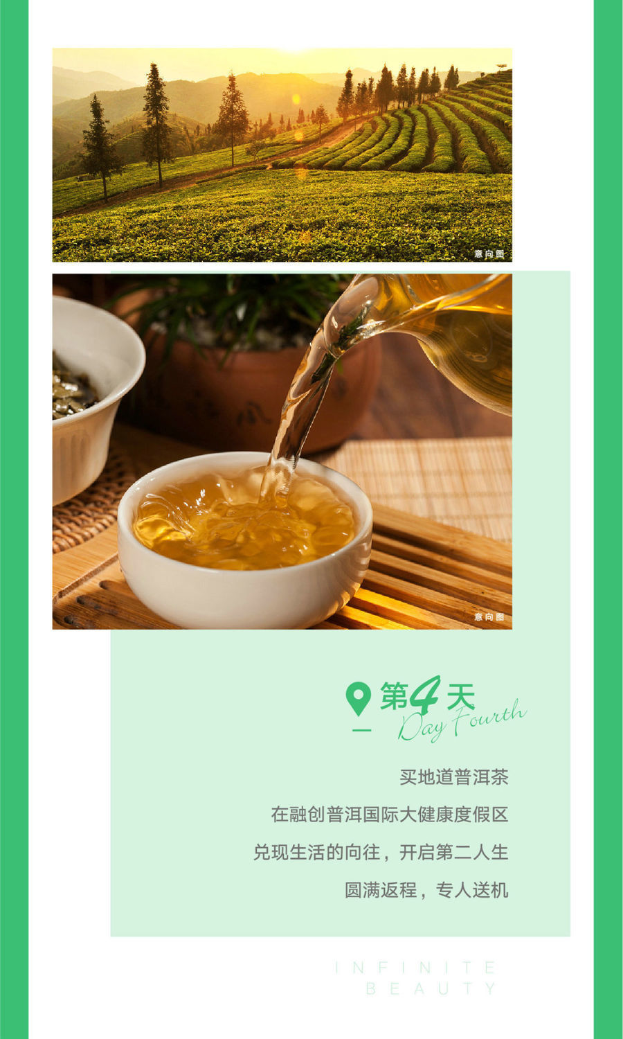 普洱7